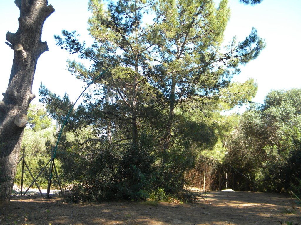 DSCN1873 (FILEminimizer).JPG